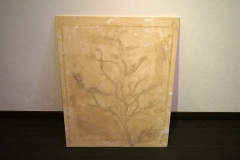 asukayamamoto19ex_11
