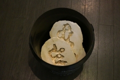 asukayamamoto19ex_12
