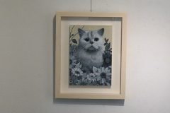 maosagesima19exhibition_13
