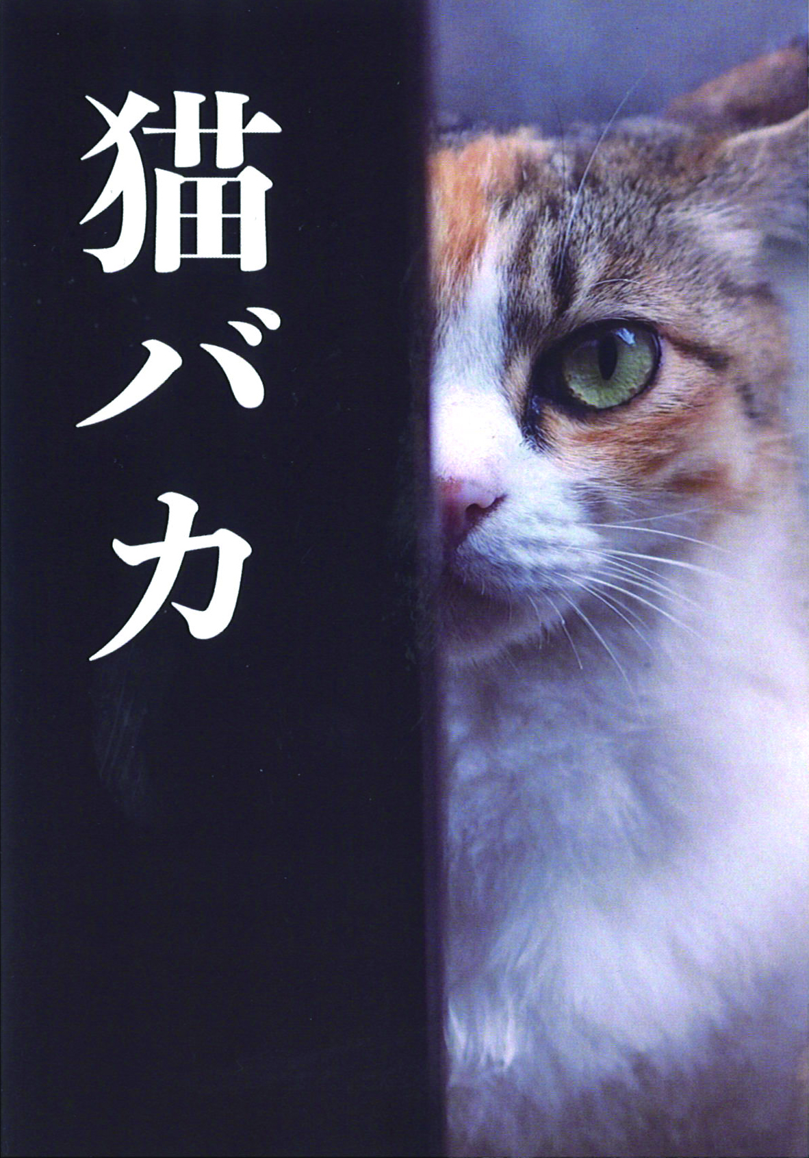 かざままゆみ写真展 猫バカ In吉祥寺 アートギャラリー絵の具箱